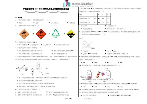 广东省深圳市2020-2021学年九年级上学期期末化学试题