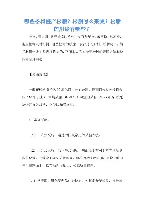 哪些松树盛产松脂？松脂怎么采集？松脂的用途有哪些？
