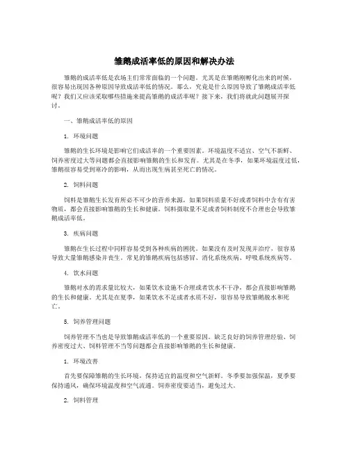 雏鹅成活率低的原因和解决办法