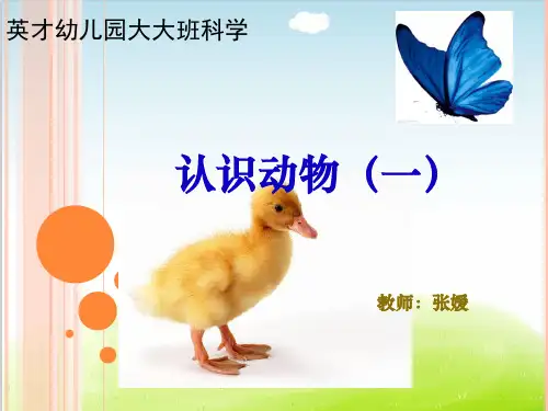 大大班 认识动物ppt课件