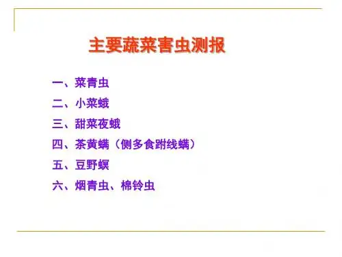 蔬菜害虫测报