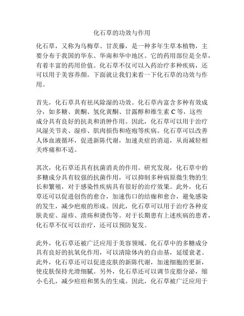 化石草的功效与作用