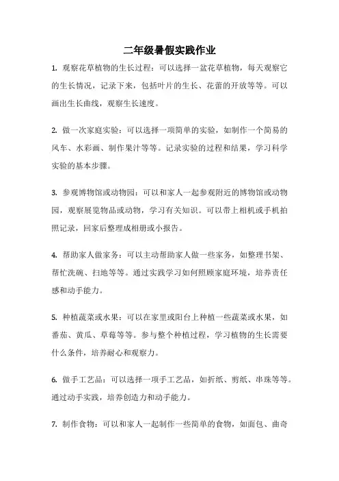二年级暑假实践作业