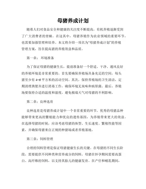 母猪养成计划