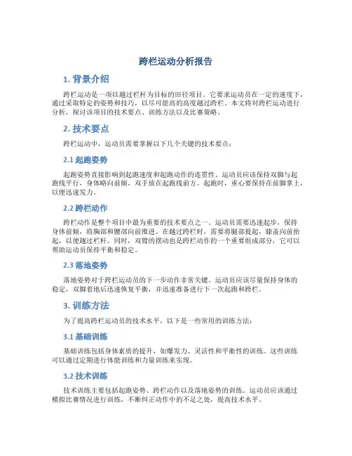 跨栏运动分析报告