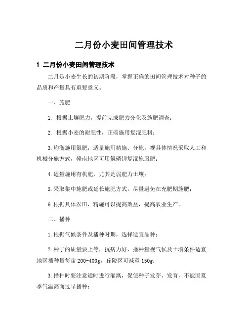 二月份小麦田间管理技术