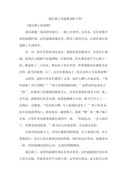 成长路上的温暖600字初一