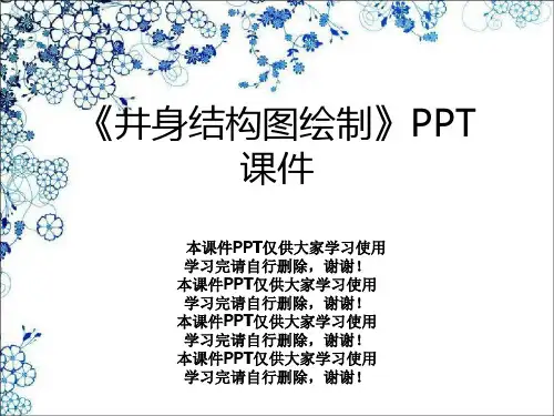 《井身结构图绘制》PPT课件