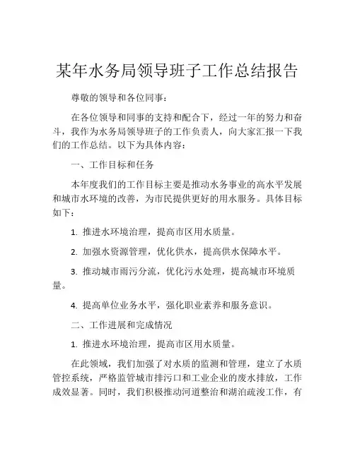 某年水务局领导班子工作总结报告