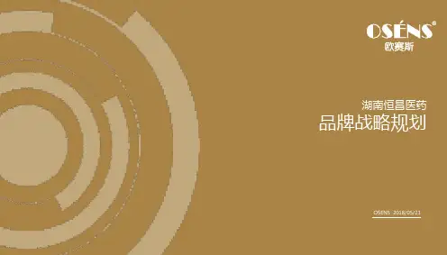 欧赛斯--品牌案例：恒昌医药品牌战略规划