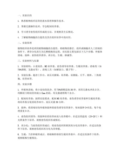 植物的组织_实验报告