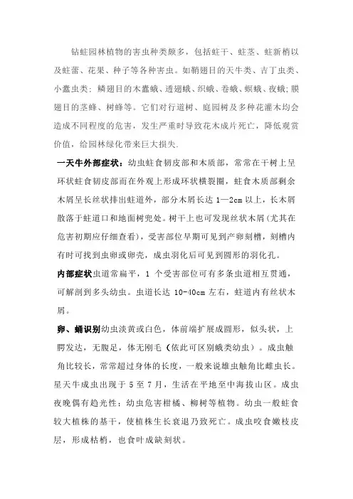 蛀干害虫的识别及防治