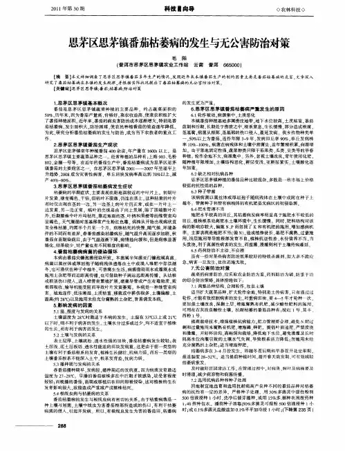思茅区思茅镇番茄枯萎病的发生与无公害防治对策