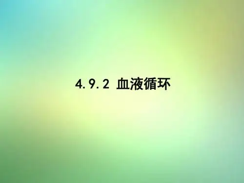 七年级生物下册4.9.2血液循环课件(新版)北师大版