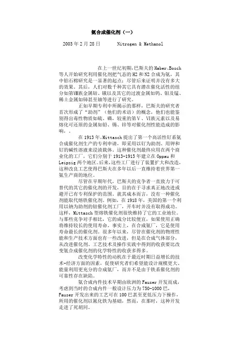 氨合成催化剂(一)