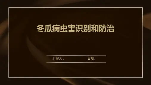 冬瓜病虫害识别和防治