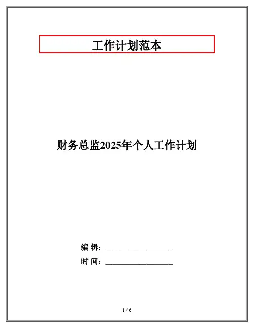 财务总监2025年个人工作计划