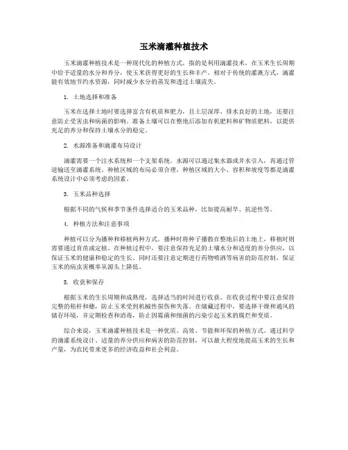 玉米滴灌种植技术