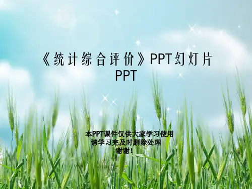 《统计综合评价》PPT幻灯片PPT
