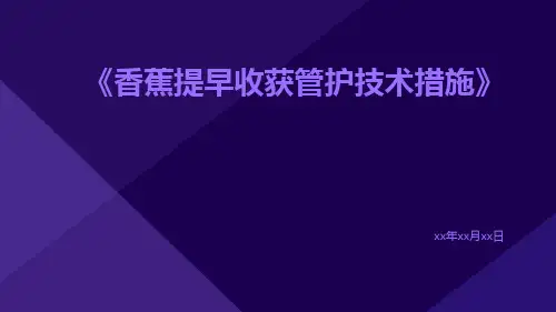香蕉提早收获管护技术措施