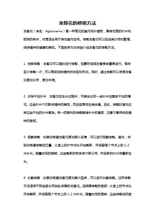 龙骨花的修剪方法