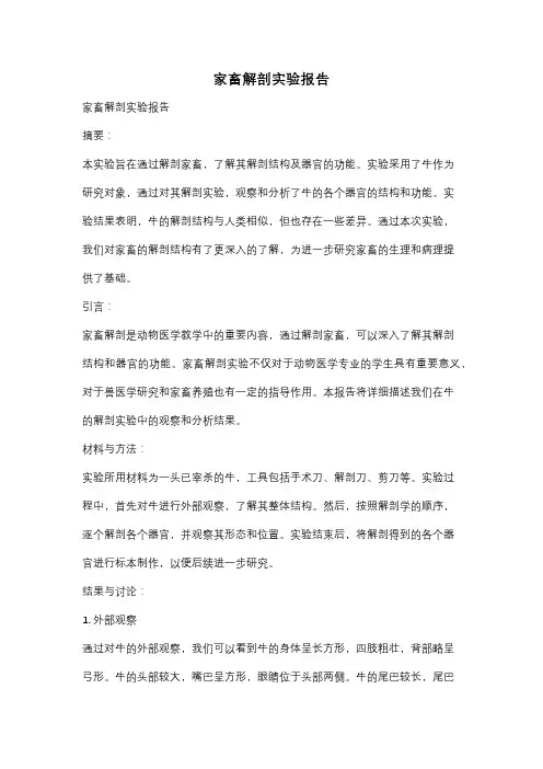 家畜解剖实验报告