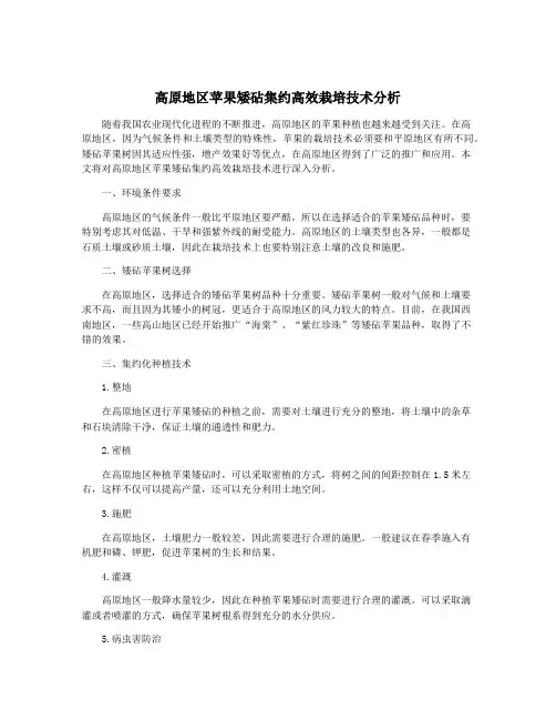 高原地区苹果矮砧集约高效栽培技术分析