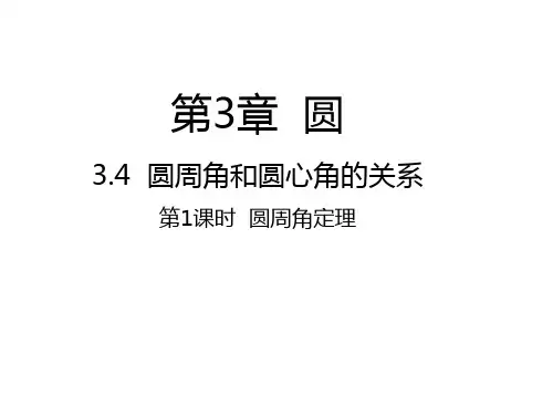 3.4+圆周角和圆心角的关系第1课时+圆周角定理课件2023-2024学年+北师大版九年级数学下册+