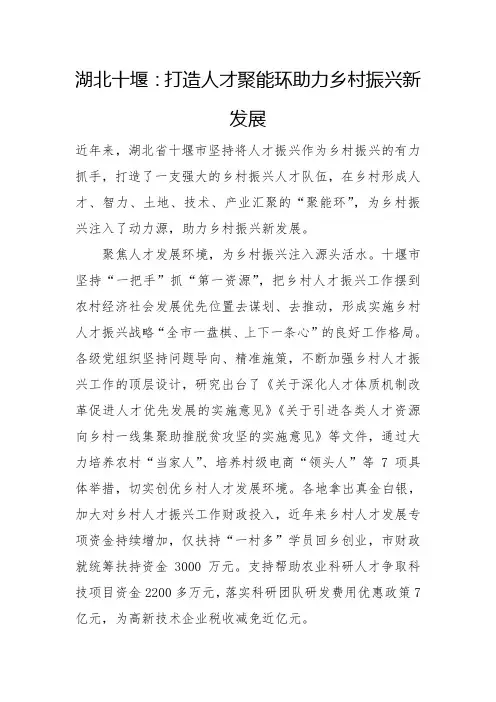 打造人才聚能环助力乡村振兴新发展