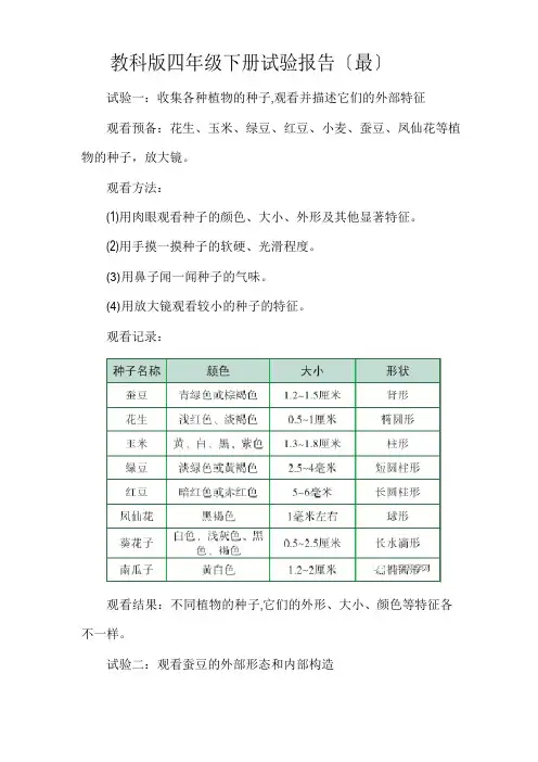 教科版四年级科学下册实验报告