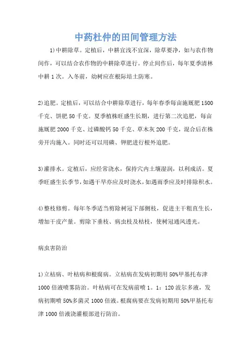 中药杜仲的田间管理方法