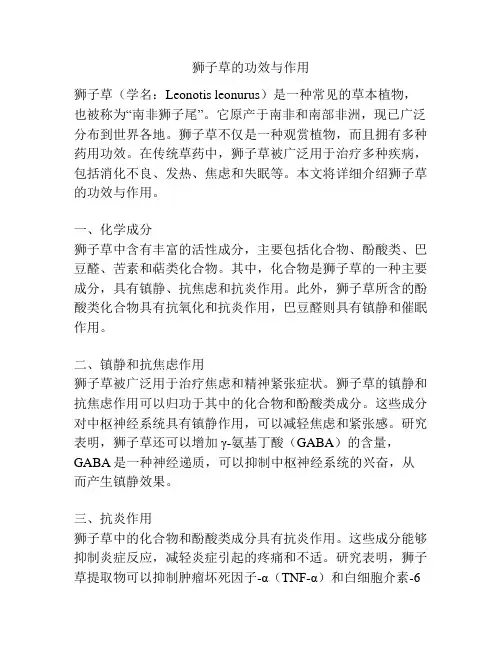 狮子草的功效与作用