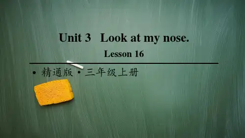 精通版三年级英语上册Lesson 16 PPT课件