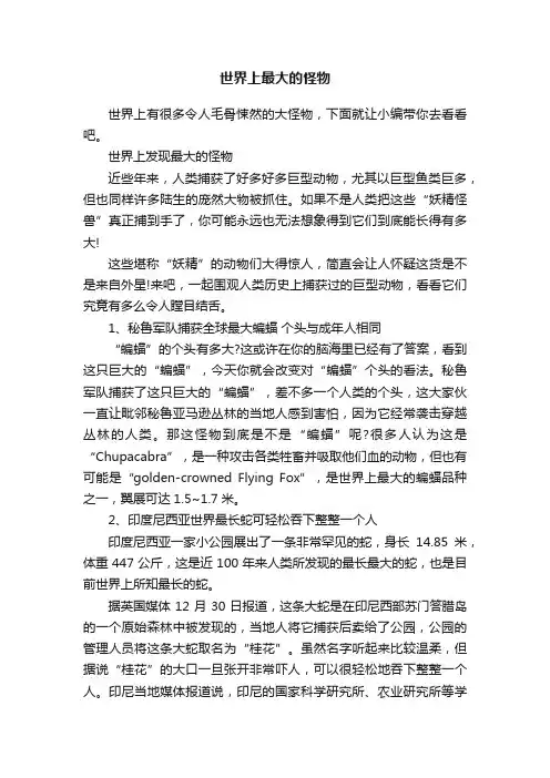 世界上最大的怪物