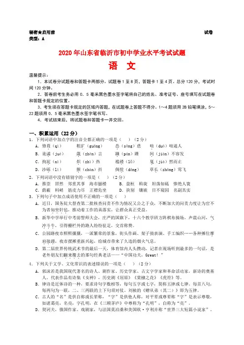 2020年山东省临沂市中考语文试题含答案word版