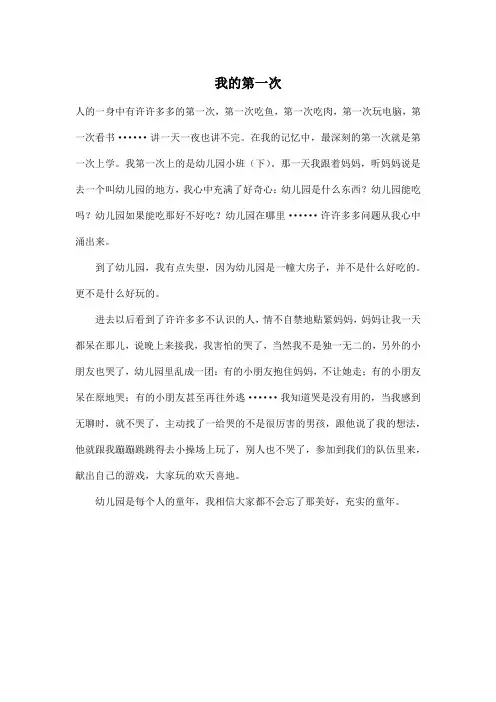 我的第一次_小学五年级作文500字