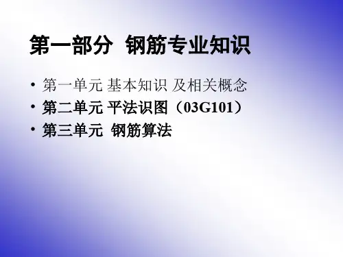 梁柱板钢筋平法标注图解(免费)资料