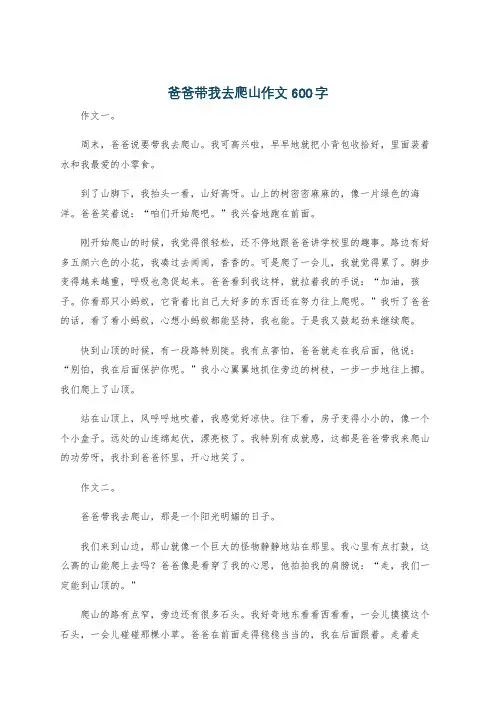 爸爸带我去爬山作文600字