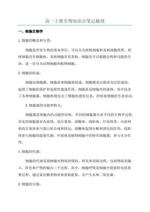 高一上册生物知识点笔记梳理