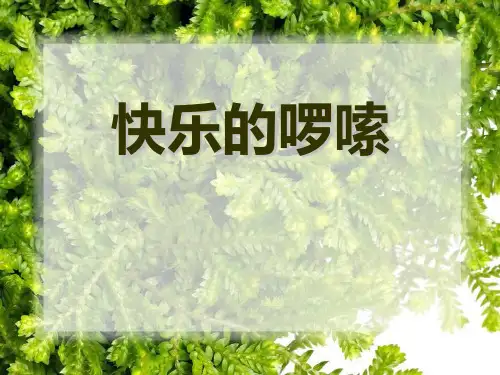 《快乐的罗嗦》PPT课件【优秀课件推荐】