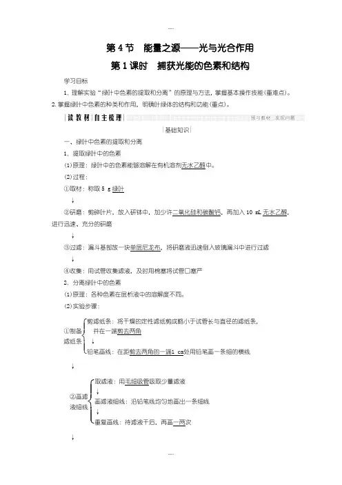 精选人教版高中生物必修一学案：5.4.1 捕获光能的色素和结构含答案