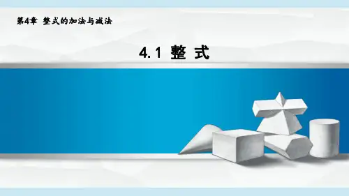 2024年秋新青岛版七年级上册数学课件 4.1 整 式