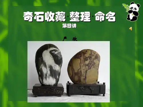 奇石收藏·整理·命名