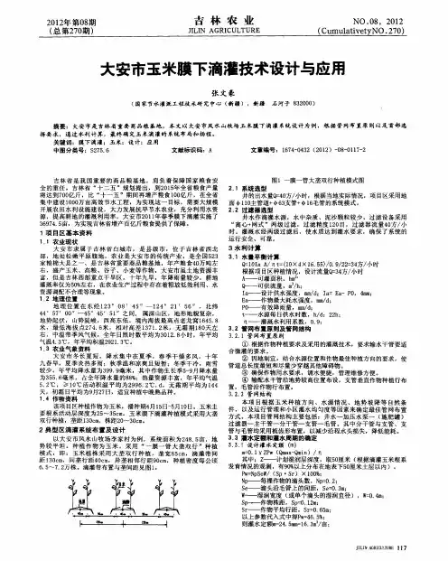大安市玉米膜下滴灌技术设计与应用