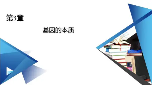 新教材人教版必修2 第3章 第1节 DNA是主要的遗传物质 课件(58张)