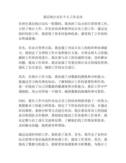 基层统计站长个人工作总结