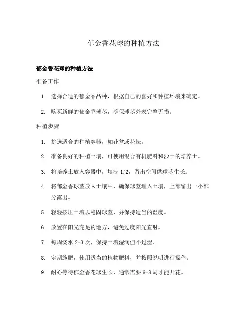 郁金香花球的种植方法