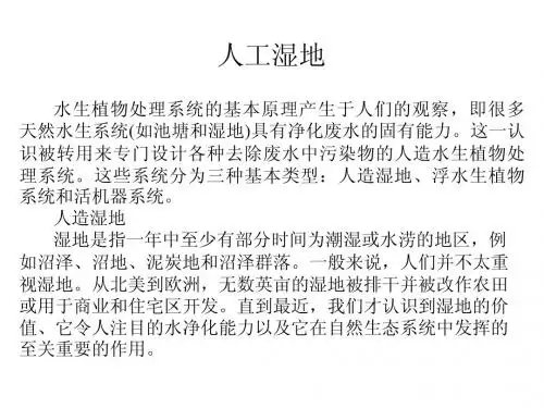 人工湿地课件