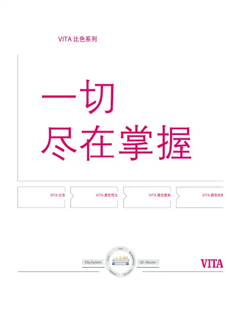 口腔修复VIDMASTER比色手册