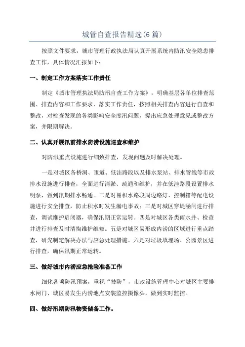 城管自查报告精选(6篇)